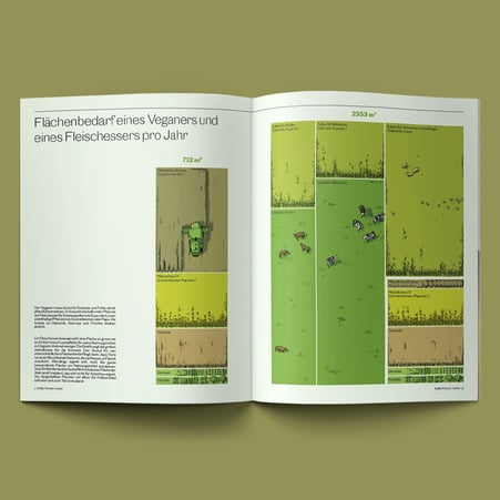 Doppelseitige Infografik im NZZ Folio © Michael Stünzi