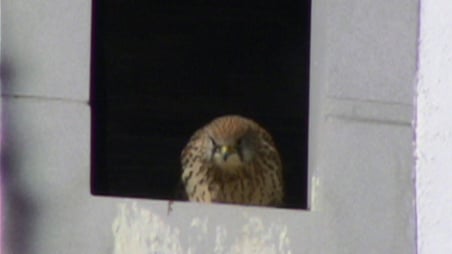 Bilder: Rudolf Schinz