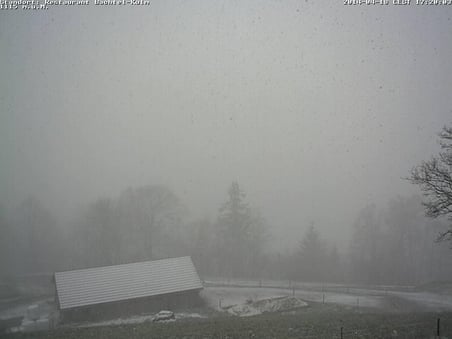 Bild: Webcam Bachtel