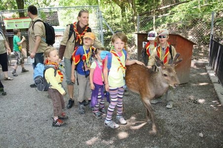 Bild: http://www.facebook.com/pfadipaprika