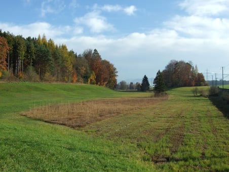 Kein Thema mehr: Linienführung im Ambitzgiried zwischen Wetzikon und Bubikon