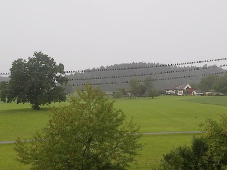 Bild: Giorgio Girardet