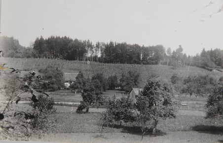 Bild: Sammlung Walter Messmer