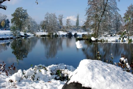 Bilder: © Peter Züllig, sammlerfreak.ch