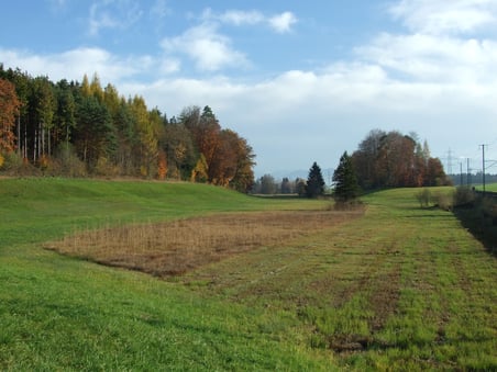 Die S-Bahn führt zwischen Wetzikon und Bubikon mitten durch das geschützte Moor