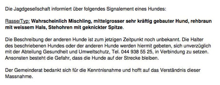 Original-Communiqué aus Hinwil