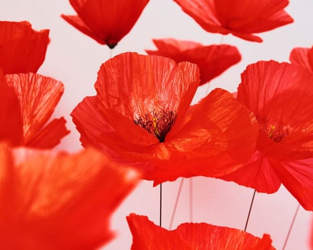 Programmation, Armor Print Solutions, 2022