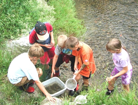 Foto: Monika Schirutschke