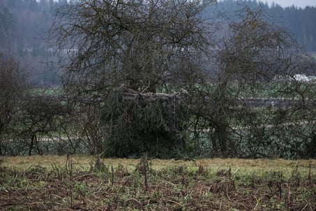 Tarnschirm für die Lockjagd