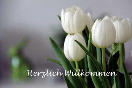 weisse Tulpen und herzlich willkommen Schriftzug