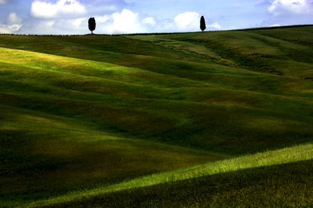 Foto di colline verdi illuminate dal sole, con due cipressi all'orizzonte in Val d'Orcia