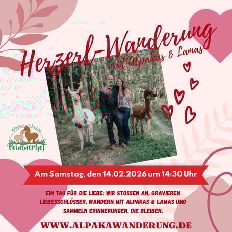 Liebe feiern in der Natur – gemeinsam mit anderen Paaren