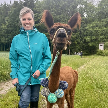 Mensch und Alpaka in entspannter Atmosphäre