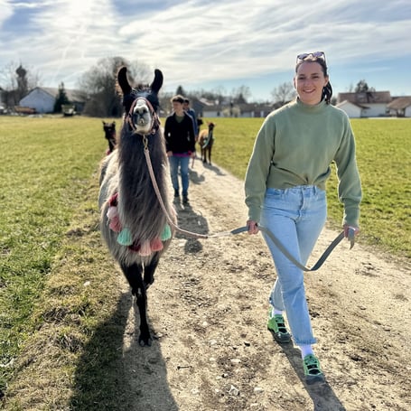 Teilnehmerin führt ein Lama über den Feldweg