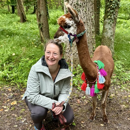 Besonderer Augenblick mit einem Alpaka