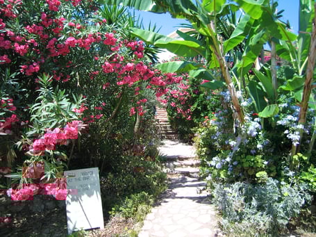 Massagen, Shiatsu, Fußreflexzonenmassage, Rückenmassage, Kopfmassage, Entspannung, von Schmerzen befreien, Wohlfühlen, Auszeit nehmen, relaxen