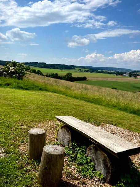 Bemer, Durchblutung, Mikrozirkulation, Gefäßtherapie, Venenprobleme, Diabetes, Gelenkschmerzen, Schlafstörungen, Nervosität, Entgiftung, Tinnitus, Magenprobleme, Arthrose, Multiple Sklerose, Schlaganfall, Schmerzen im Bewegungsapparat, Müdigkeit