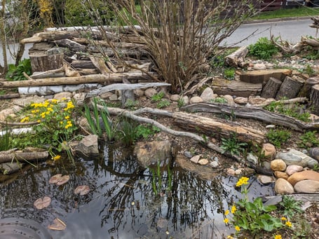 Wasserangebot ist wichtig, Garten Christian B., Foto: Verena