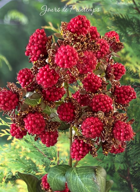 mures-artificielles-haut-de-gamme