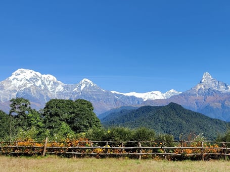 オーストラリアンキャンプにて