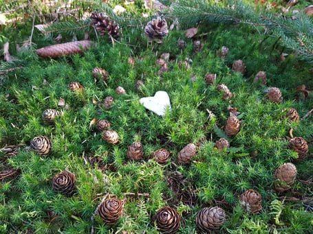 Begleitung und Unterstützung bei Krankheit durch Gabriela Ribeiro, Baden