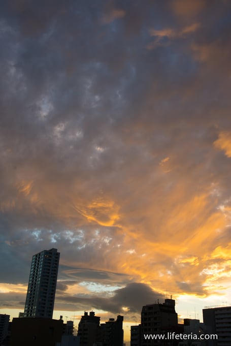 LifeTeria　ブログ