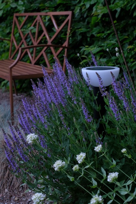 dieartigeGARTEN // Steppensalbei 'Blauhügel', Weiße Spornblume + Purpur-Lauch