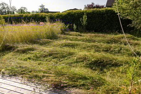 Naturgarten Gartenpflege nachhaltig naturnah