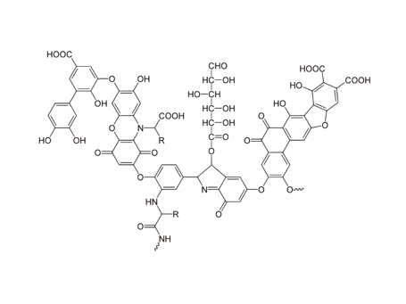 LEONARDIT chemical chain
