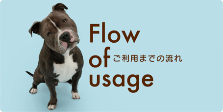 犬　ワンちゃん　ペットシッター　福岡