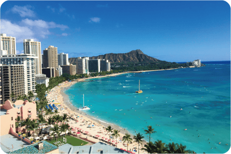 福岡　ペットシッター　旅行