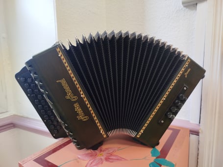 accordéon diatonique d'occasion