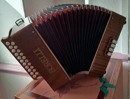 accordéon diatonique d'occasion Borelli 
