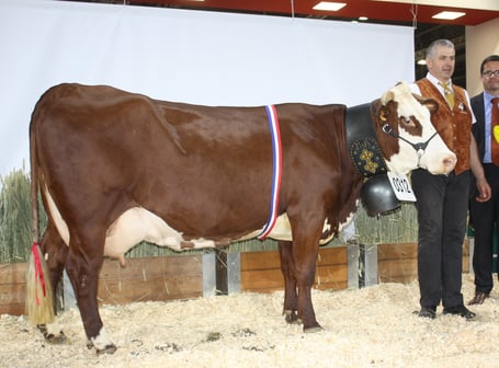 CAMELIA (Nucléair) championne à Paris en 2013