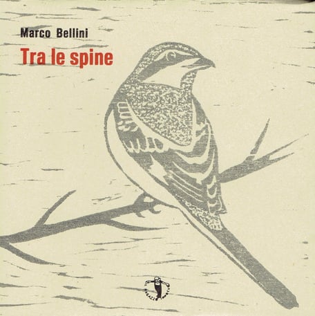 copertina con stampa tipografica a due colori e xilografia originale