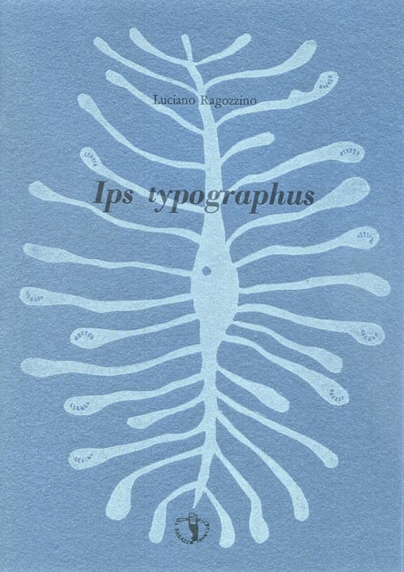 copertina con stampa tipografica e linoleum originale