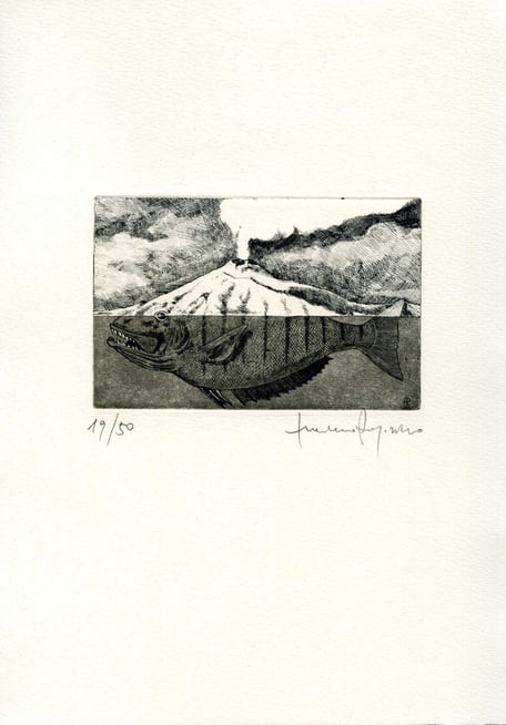 acquaforte originale di Luciano Ragozzino numerata e firmata - lastra 70x108 mm