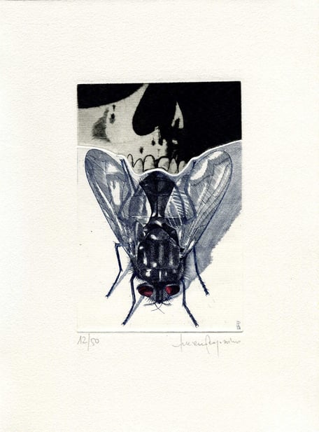 acquaforte originale a due lastre di Luciano Ragozzino numerata e firmata - lastra 150x100 mm