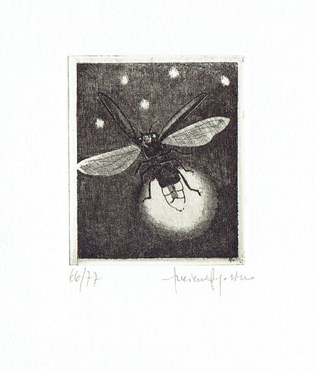 acquaforte originale di Luciano Ragozzino numerata e firmata