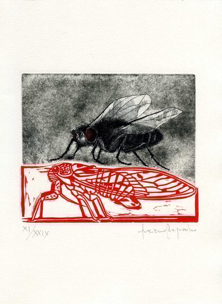 acquaforte e linoleum originali di Luciano Ragozzino numerata e firmata - totale 130x150 mm