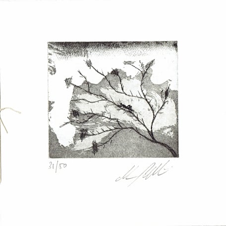 incisione originale dell'autore numerata e firmata