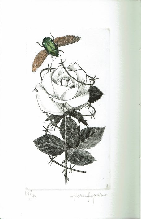 acquaforte originale acquarellata di Luciano Ragozzino