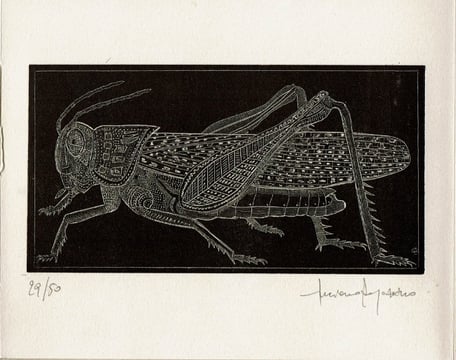 incisione originale di Luciano Ragozzino