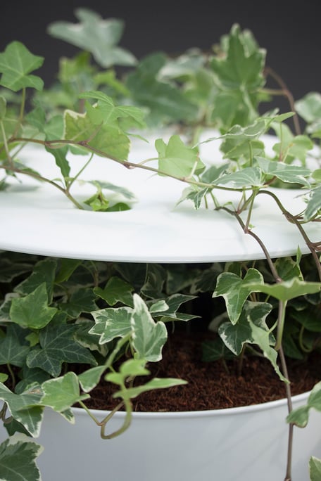 OVERGROWN OBJECT - IKEA Hacked by Lucas & Lucas - An object made of connected MARIUS stools that are overgrown with invasive plants 