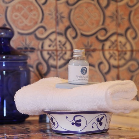 Chambres d'hôtes au château de Mayragues - Castelnau de Montmiral Tarn - Chambre Duras