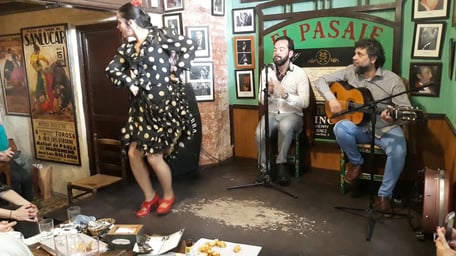 Espectáculo flamenco en jerez de la frontera