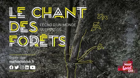 Exposition Le chant des forêts, MAIF Social Club, 2022