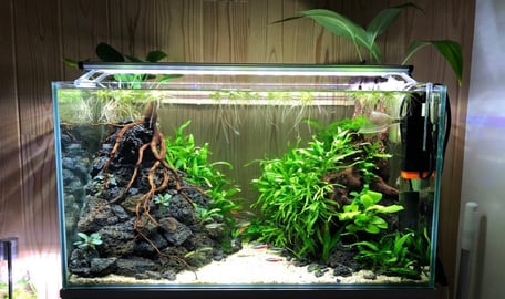 水槽素材の流木と溶岩石の組合せ例を説明