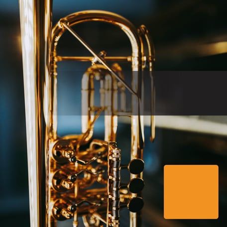 Doppelhorn Ricco Kühn W293X