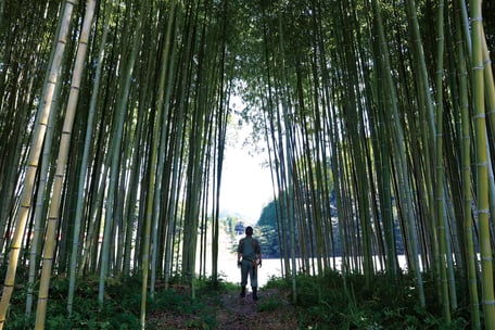 竹の鞄ができるまで